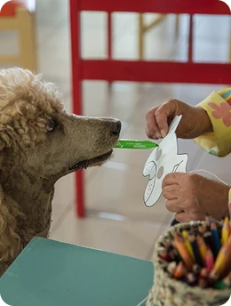 Fotogalerie uplynulých akcí