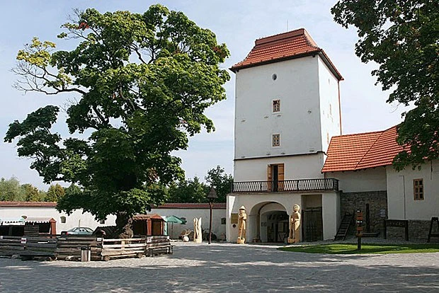 Slezskoostravský hrad